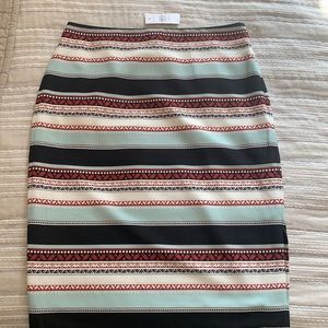 Ann Taylor Skirt